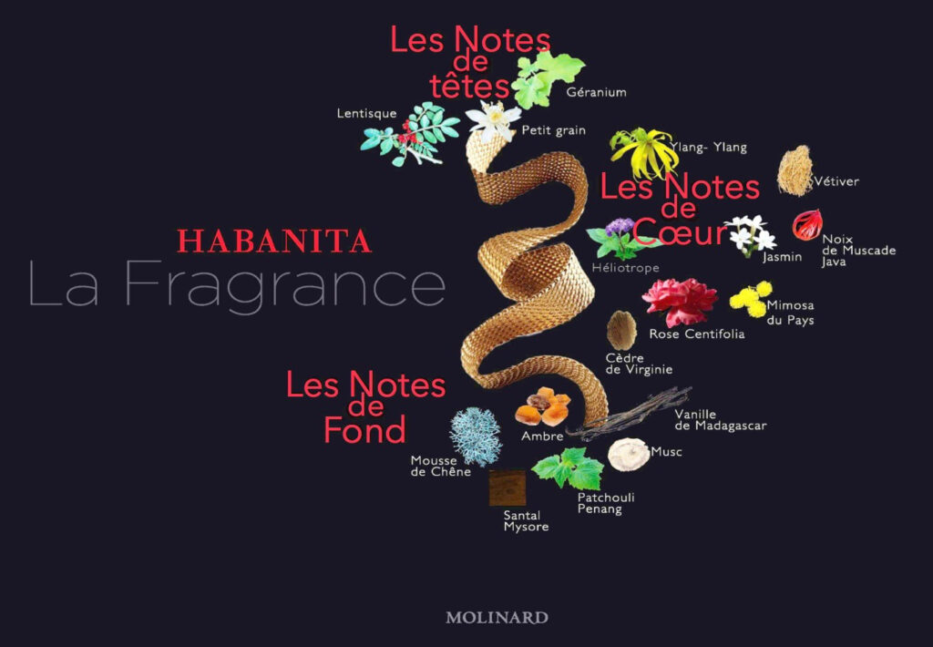 Habanita-pyramide-olfactive